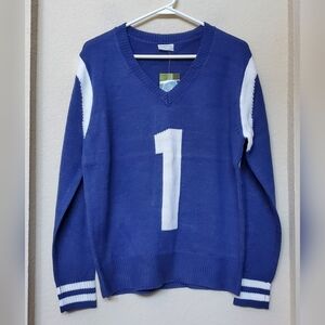 The Official Jersey Sweater V Neckline Academia.  Size Small